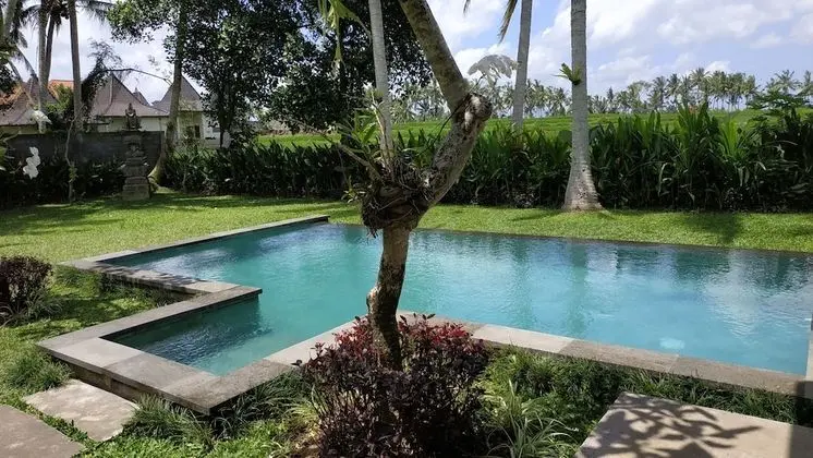 Anggira Villa Ubud - Havuz