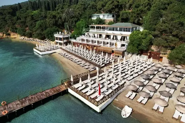 Anka Aya Nikola