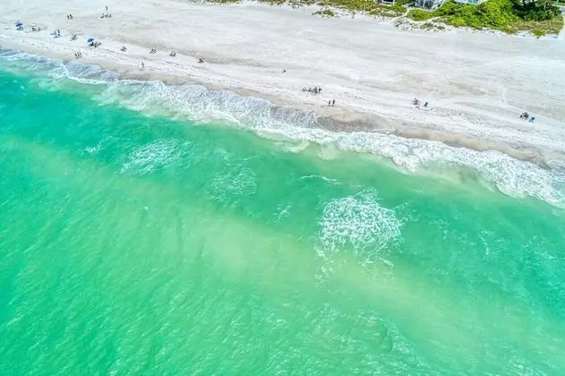 Anna Maria Island Beach Happy-direct Beach Front - Plaj
