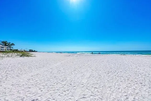 Anna Maria Island Beach Palms 5B - Plaj