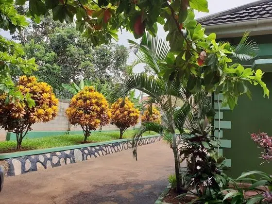 Anna's Place Entebbe - 1