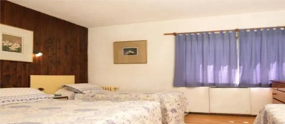 Hotel Antartida - Genel