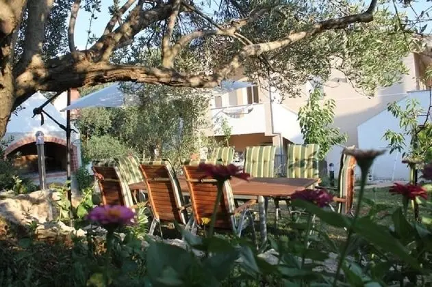 Ante - 50m From the sea - A4 Lila - Öne Çıkan Resim