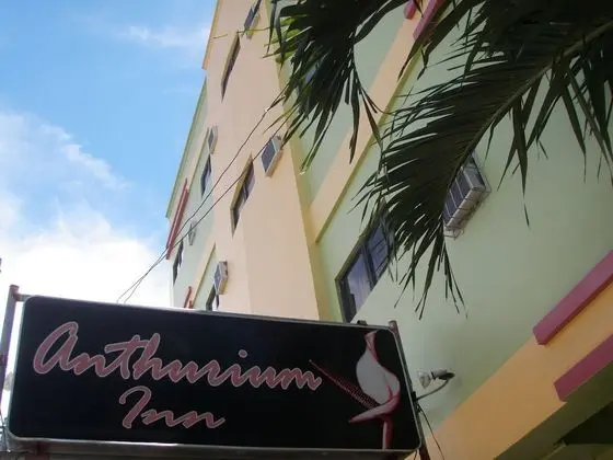 Anthurium Inn - Öne Çıkan Resim