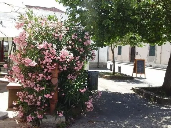 Antica Casa Cristofori - Dış Mekan