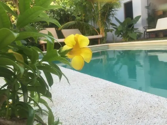 Hotel Antigua Estación Granada - Havuz
