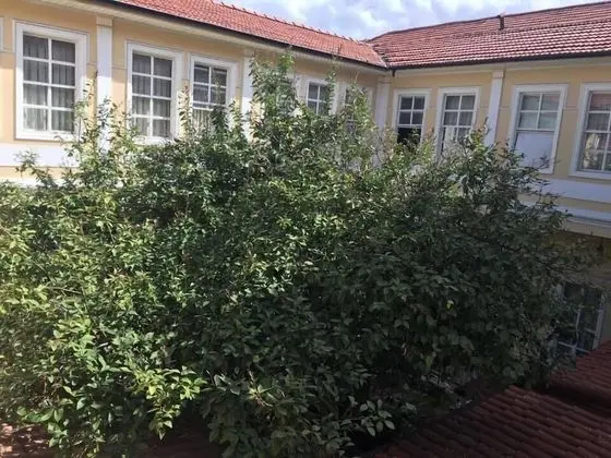 Antik Han Hotel - Special Class - Dış Mekan