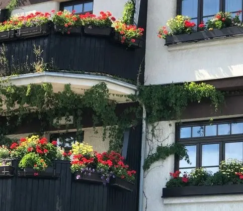 Antik Hotel Sofia Litomysl - Dış Mekan