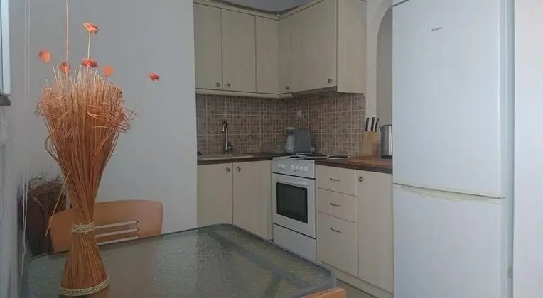 Antiparos luxury apartments - Mutfak