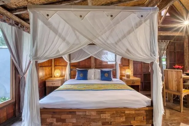 Antique Sentana Villa Ubud - Oda