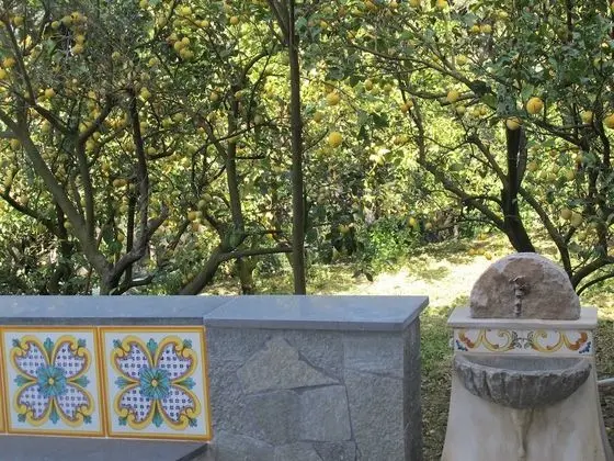 Antonio Massa Lubrense - Dış Mekan