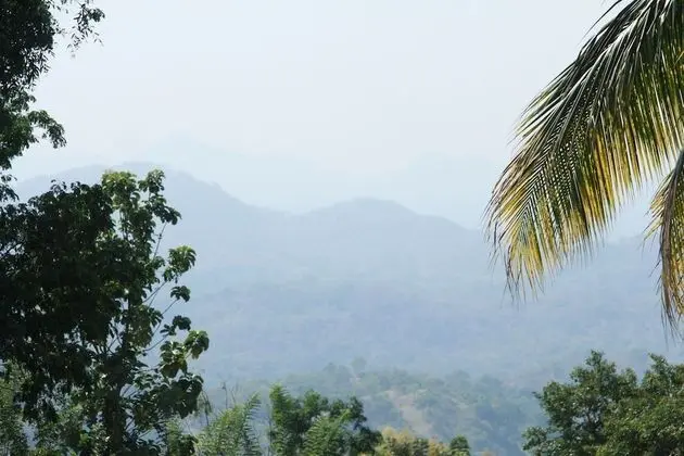 Anura Guest Inn