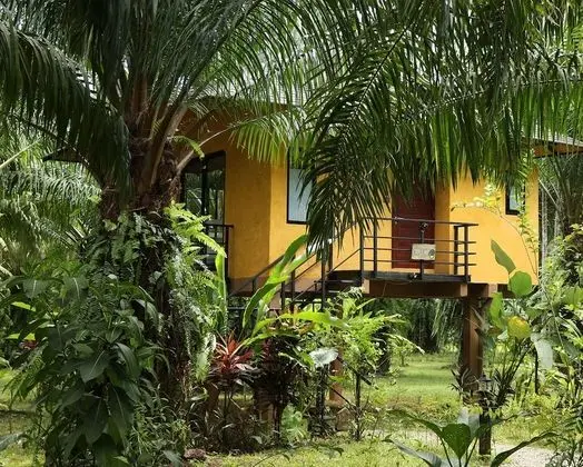 Anurak Community Lodge - Dış Mekan