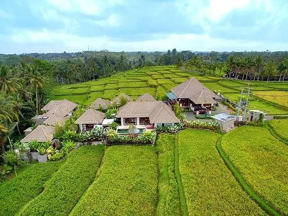 Anusara Luxury Villas - Adults Only