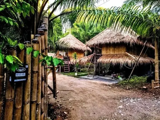 Aoluek Paradise