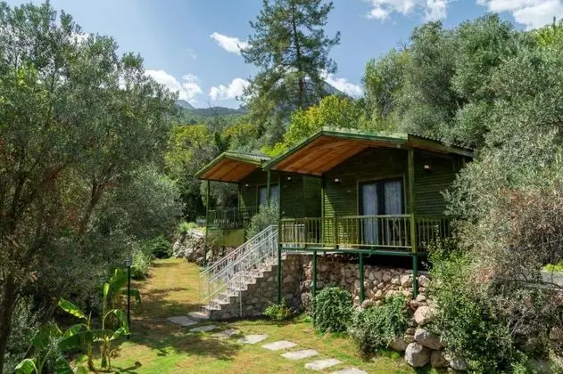 Apa Mountain Lodge