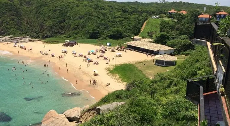 Apa Pau Brasil