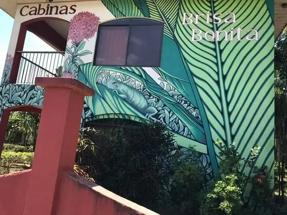Aparthotel Brisa Bonita - Dış Mekan