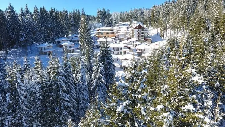 Aparthotel Forest Glade