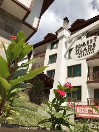 Aparthotel Forest Glade - Dış Mekan