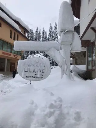Aparthotel Forest Glade - Dış Mekan