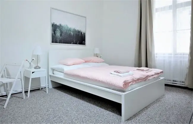 Aparthotel Wenceslas - Oda