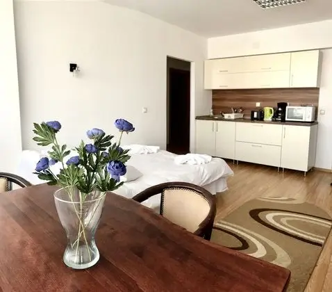 Aparthotel Zorilor Cluj Napoca - Oda