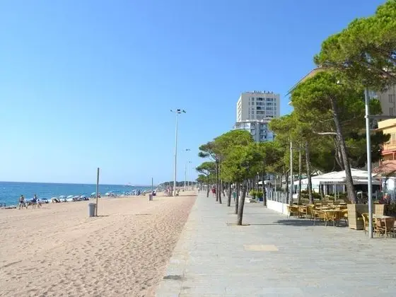 Apartamento en Platja d'Aro Mar d'Or 214 - Plaj