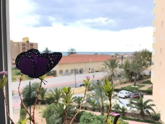 Apartamento La Mata Playa - Oda Manzaraları