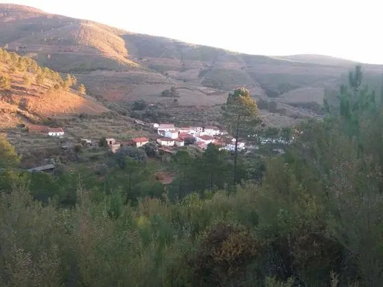 Apartamento Prunus Avium