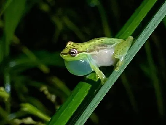 Apartamento Rio Celeste Dreams