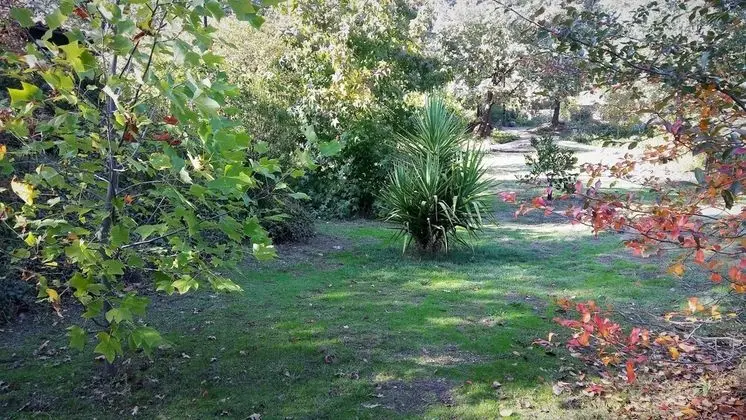 Apartamentos El Roble - Dış Mekan