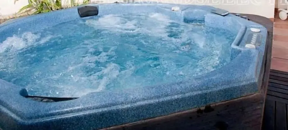 Apartamentos Guadalpin Boutique - Spa