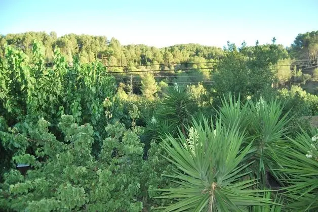 Apartamentos Les Moreres