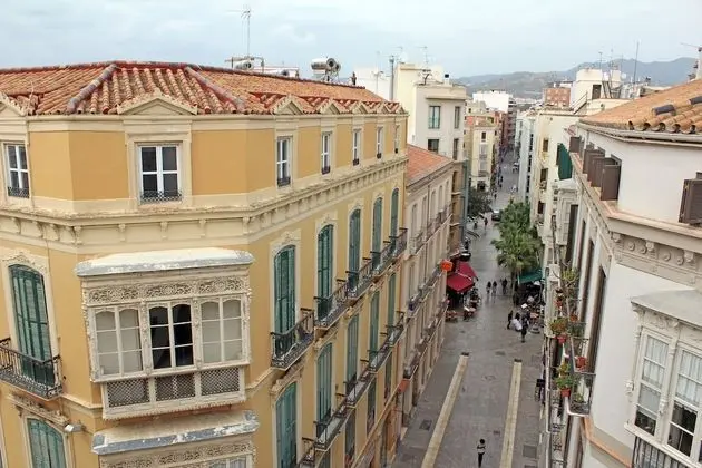 Apartamentos Málaga Premium - Calle Granada