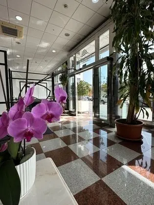 Apartamentos Nuria Sol - Lobi