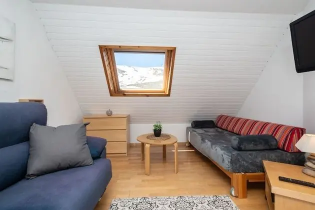 Apartamentos Pie de Pistas 3000