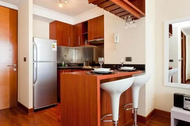 Apartamentos Premium Capital Providencia - Mutfak