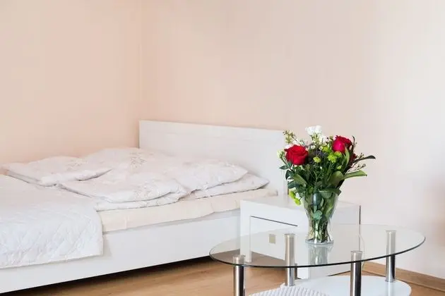 Aparthouse Apartamenty Sosnowiec