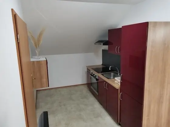Apartmaji bungalovi i sotorisce Silva - Mutfak