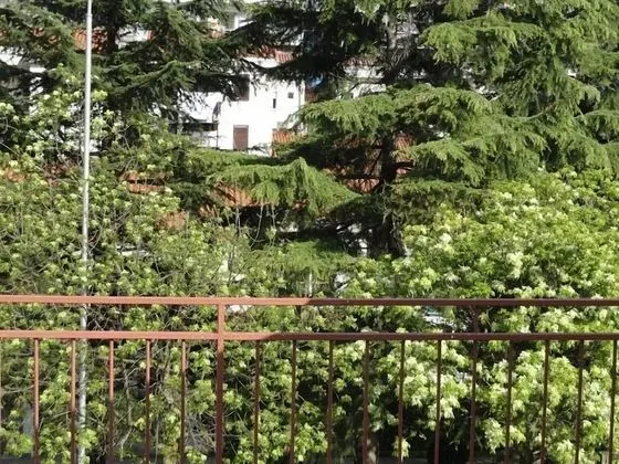 Apartman Pribilovic - İç Mekan