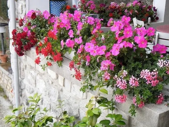 Apartmani Kestenovi dvori - Dış Mekan