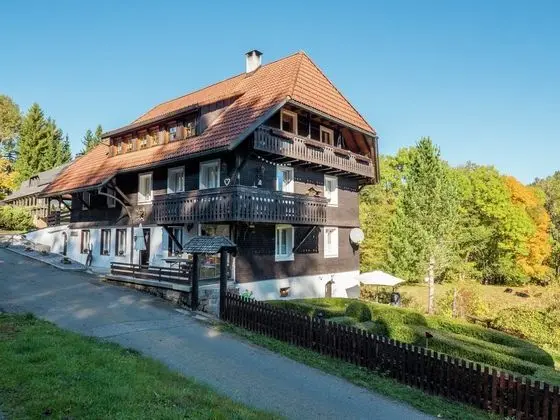 Apartment for 2 Adults & 2 Children near Ski Resort in Black Forest - Öne Çıkan Resim
