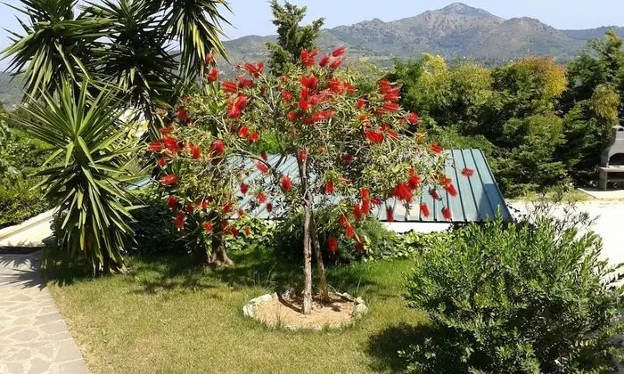 Apartment in Villa 24 Persons With Large Garden Stella - Dış Mekan