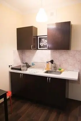 Apartment 371 on Pyatnitskoe 21 - Mutfak