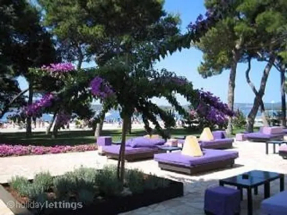 Apartment for 4 Guests Near the Beach in Biograd, Lovely Garden Modern Furnished - Plaj