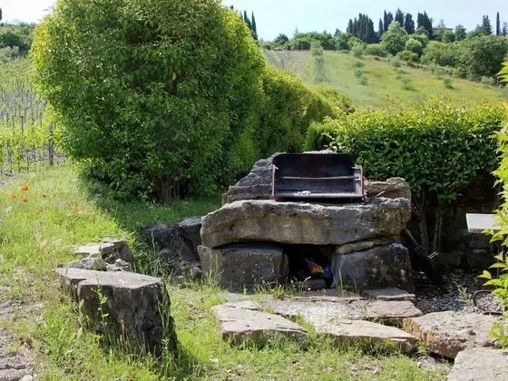 Apartment in a Farmhouse in Radda In Chianti With Patio - Dış Mekan