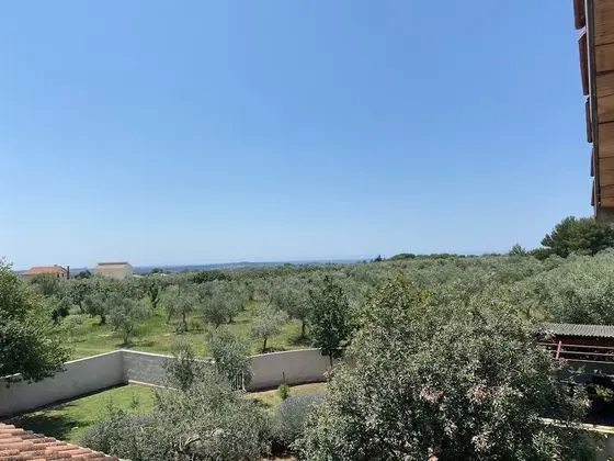 Apartment With a View of the Brijuni Islands