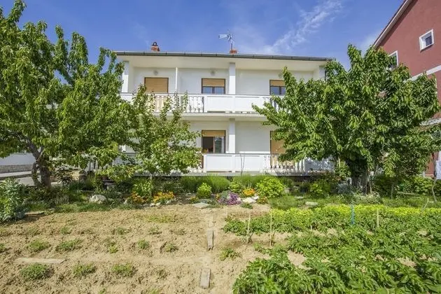 Apartment Ante Kampor - Dış Mekan