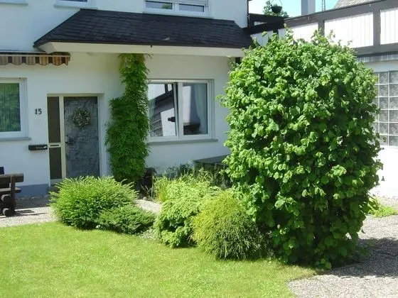 Apartment in Assinghausen With a Sun Terrace - Lobi